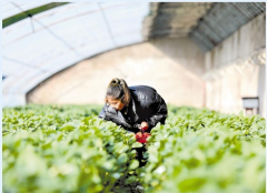 是济源聚焦新业态劳动者需求、做实平易近生办